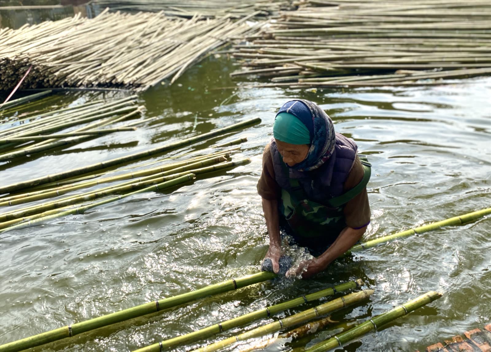 Ngâm tre dưới ao