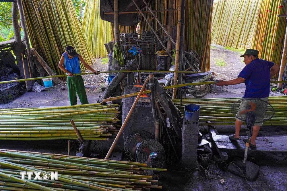 Xưởng nắn ép tre